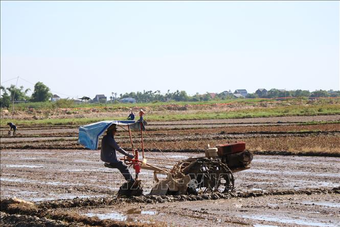 Ứng dụng cơ giới hoá trong làm đất gieo cấy lúa vụ Hè Thu. Ảnh: Tường Vi - TTXVN 
