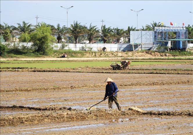 Nông dân làm đất gieo cấy lúa, đảm bảo khung thời vụ. Ảnh: Tường Vi - TTXVN 