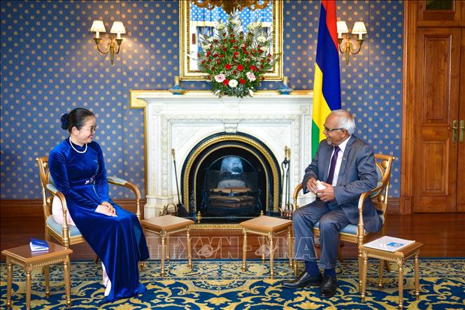 Tổng thống Dharambeer Gokhool tiếp Đại sứ Trần Thị Thu Thìn sau lễ trình Ủy nhiệm thư. Ảnh: Đại sứ quán Việt Nam tại Mozambique/TTXVN phát