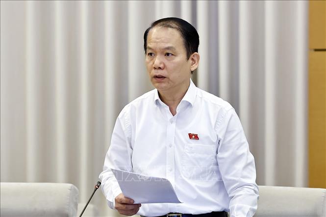 Chủ nhiệm Ủy ban Pháp luật và Tư pháp của Quốc hội Hoàng Thanh Tùng phát biểu. Ảnh: Doãn Tấn - TTXVN