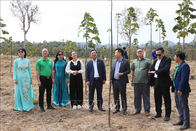 Đại sứ Việt Nam tại Lào Nguyễn Minh Tâm và lãnh đạo tỉnh Khammouane thăm và kiểm tra một dự án nông nghiệp của doanh nghiệp Việt Nam tại địa phương. Ảnh: Xuân Tú - PV TTXVN tại Lào