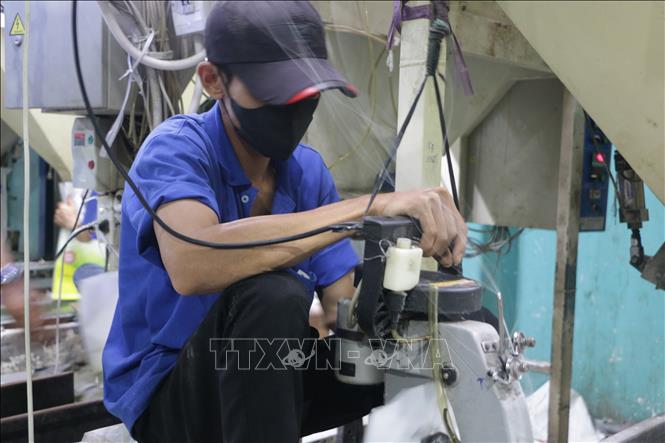 Công nhân của Công ty TNHH Phước Thành II, phường Tân Khánh, TP Tân An (tỉnh Long An), thực hiện khâu may bao bì gạo xuất khẩu. Ảnh: Thanh Bình -TTXVN