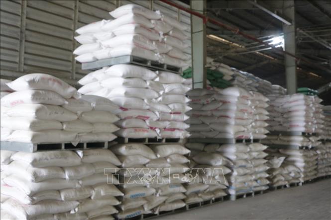  Kho gạo tại Công ty TNHH Hoàng Gia Nhật Quang, xã Bình Thạnh, huyện Thủ Thừa chuẩn bị xuất khẩu. Ảnh: Thanh Bình -TTXVN 