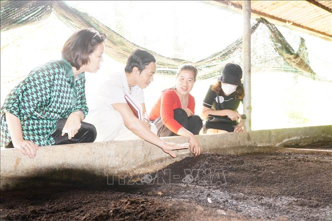 Chị Nguyễn Thị Linh (áo đỏ) khởi nghiệp sản xuất phân hữu cơ vi sinh tại huyện Đồng Phú. Ảnh: TTXVN phát