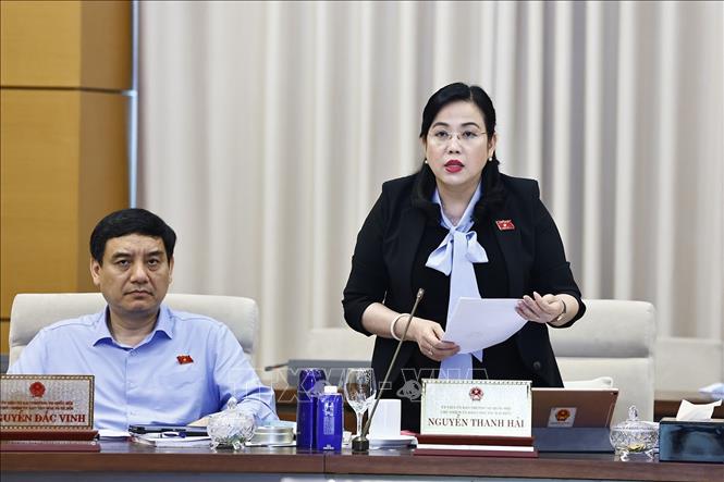 Chủ nhiệm Ủy ban Công tác đại biểu của Quốc hội Nguyễn Thanh Hải phát biểu. Ảnh: Doãn Tấn - TTXVN