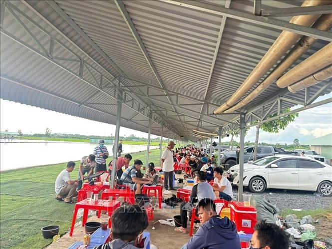 Các đối tượng tham gia đánh bạc tại hồ câu cá Minh Hiếu thuộc ấp Thanh Bình, xã An Bình, huyện Châu Thành, tỉnh Tây Ninh. Ảnh: TTXVN phát