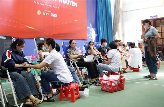 Cán bộ đoàn viên, thanh niên và nhân dân tham gia hiến máu tại chương trình, thu được 805 đơn vị máu. Ảnh: Hoài Thu – TTXVN