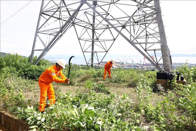 Phát quang tại vị trí cột trên tuyến đường dây 500kV Vân Phong-Thuận Nam. Ảnh: Huy Hùng - TTXVN