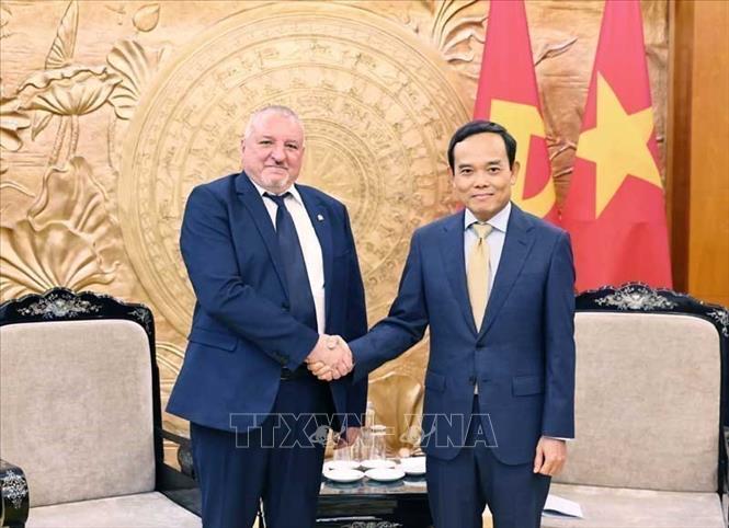 Secretary of the Communist Party of Vietnam (CPV) Central Committee and head of its Commission for Policies and Strategies Tran Luu Quang and President of the Hungarian Socialist Party Komjáthi Imre. VNA Photo: Minh Đức