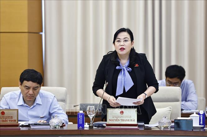 Chủ nhiệm Ủy ban Công tác đại biểu của Quốc hội Nguyễn Thanh Hải phát biểu. Ảnh: Doãn Tấn - TTXVN