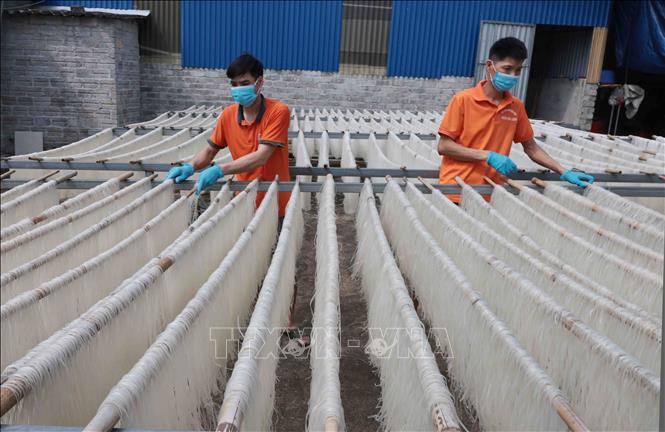 Vốn vay Agribank đã giúp HTX Bún khô Tiến Diện, xã Tràng Xá, huyện Võ Nhai, tỉnh Thái Nguyên ổn định sản xuất. Ảnh: Trần Việt - TTXVN