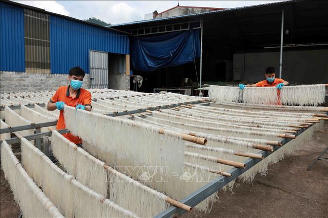 Vốn vay Agribank đã giúp HTX Bún khô Tiến Diện, xã Tràng Xá, huyện Võ Nhai, tỉnh Thái Nguyên ổn định sản xuất. Ảnh: Trần Việt - TTXVN