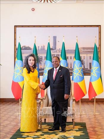 Tổng thống Selassie và đại sứ Vũ Thanh Huyền tại buổi trình quốc thư. Ảnh: TTXVN phát