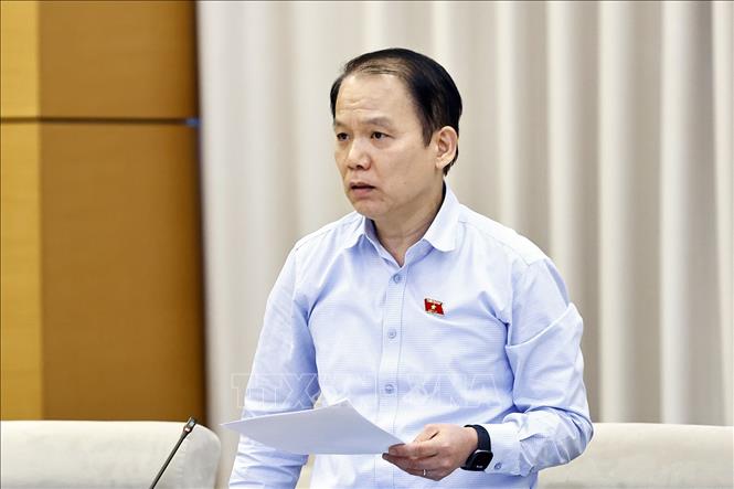 Chủ nhiệm Ủy ban Pháp luật và Tư pháp của Quốc hội Hoàng Thanh Tùng phát biểu. Ảnh: Doãn Tấn - TTXVN