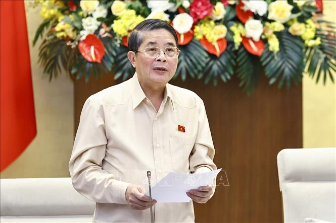 Phó Chủ tịch Quốc hội Nguyễn Đức Hải phát biểu. Ảnh: Doãn Tấn - TTXVN