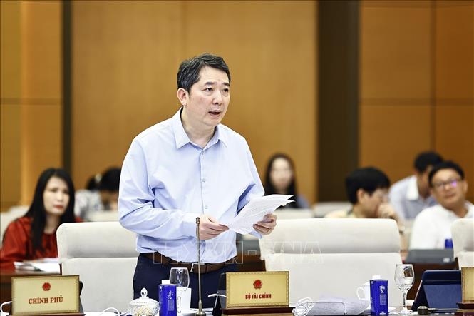 Thứ trưởng Bộ Tài chính Cao Anh Tuấn phát biểu. Ảnh: Doãn Tấn - TTXVN