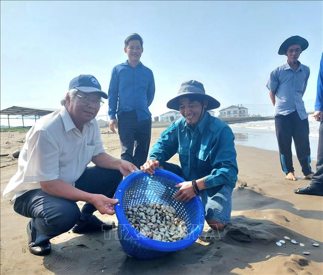 Du khách trải nghiệm cào nghêu cùng ngư dân địa phương tại bờ biển xã Thạnh Hải, huyện Thạnh Phú, tỉnh Bến Tre. Ảnh: Chương Đài - TTXVN