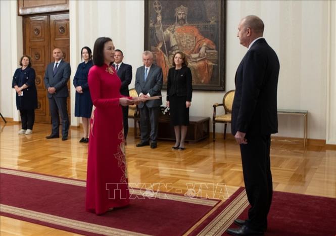 Đại sứ Việt Nam tại Bulgaria trình thư ủy nhiệm lên Tổng thống Bulgaria Rumen Radev. Ảnh: ĐSQ cung cấp/TTXVN phát
