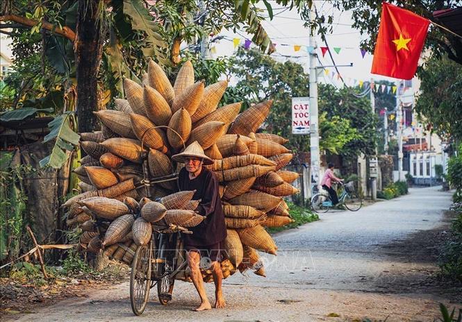 A familiar image recalling the beauty of rural areas in the Red River Delta. VNA Photo: Khánh Hòa