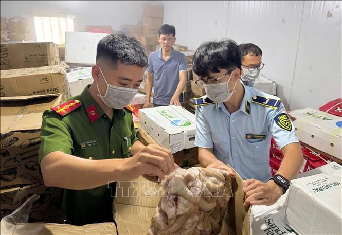 Lực lượng chức năng tạm giữ toàn bộ số tang vật vi phạm để tiếp tục xử lý theo quy định của pháp luật. Ảnh: TTXVN phát