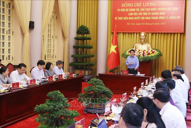 Chủ tịch nước Lương Cường phát biểu chỉ đạo. Ảnh: Lâm Khánh - TTXVN