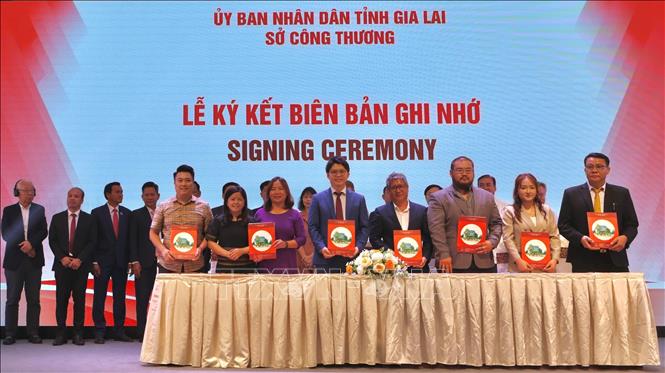 Ký biên bản ghi nhớ hợp tác giữa Công ty TNHH NK Holdings Co.Ltd (Nhật Bản) với các doanh nghiệp Gia Lai và chính quyền tỉnh Attapeu (Lào). Ảnh: Hồng Điệp - TTXVN