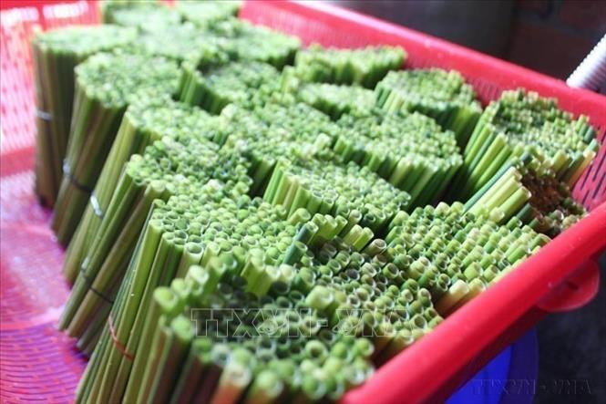 Eco-friendly straws are used instead of plastic ones in Ho Chi Minh City's food service establishments. VNA/Photo by courtesy