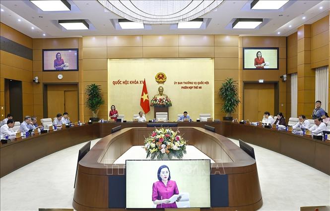 Phó Chủ tịch Quốc hội Nguyễn Thị Thanh phát biểu. Ảnh: Doãn Tấn - TTXVN