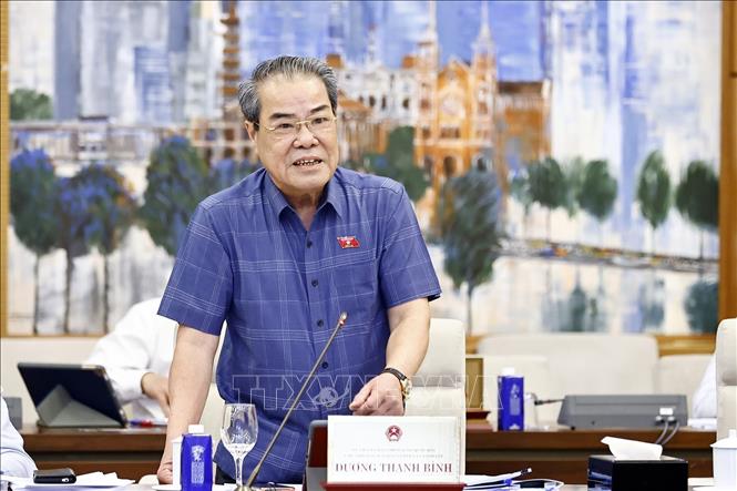 Chủ nhiệm Ủy ban Dân nguyện và Giám sát của Quốc hội Dương Thanh Bình phát biểu. Ảnh: Doãn Tấn - TTXVN