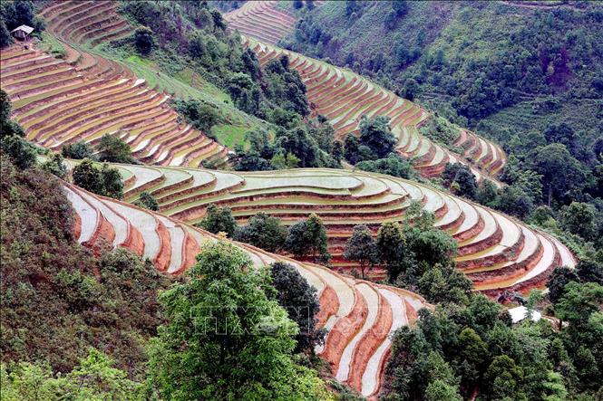 Ruộng bậc thang tại xã Xím Vàng, huyện Bắc Yên, tỉnh Sơn La. Ảnh: Quang Quyết - TTXVN
