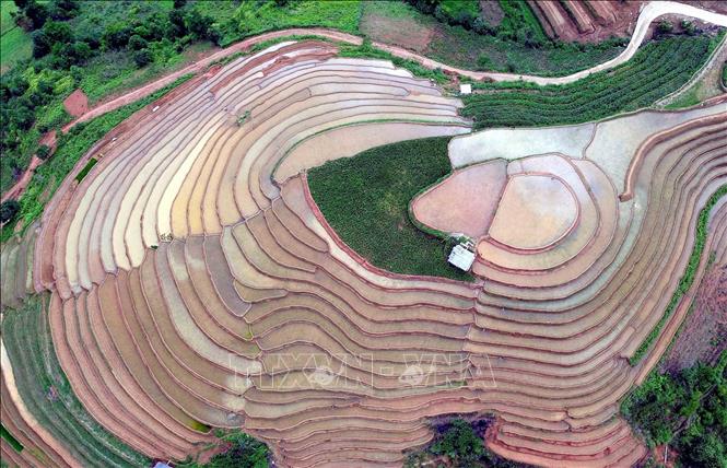 Ruộng bậc thang tại xã Xím Vàng, huyện Bắc Yên, tỉnh Sơn La. Ảnh: Quang Quyết - TTXVN
