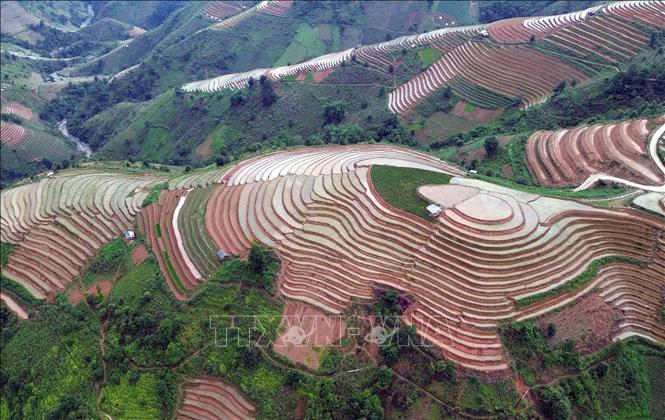 Ruộng bậc thang tại xã Xím Vàng, huyện Bắc Yên, tỉnh Sơn La. Ảnh: Quang Quyết - TTXVN
