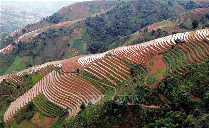 Ruộng bậc thang tại xã Xím Vàng, huyện Bắc Yên, tỉnh Sơn La. Ảnh: Quang Quyết - TTXVN
