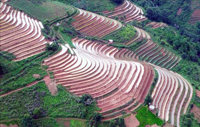 Ruộng bậc thang tại xã Xím Vàng, huyện Bắc Yên, tỉnh Sơn La. Ảnh: Quang Quyết - TTXVN
