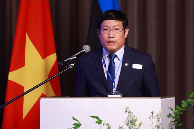 Đại diện Tập đoàn FPT phát biểu. Ảnh: Dương Giang-TTXVN  
