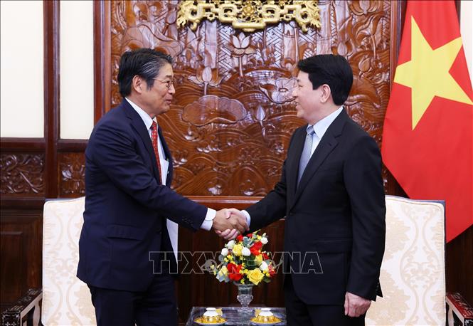 State President Luong Cuong receives Japanese Ambassador Ito Naoki. VNA Photo: Lâm Khánh 