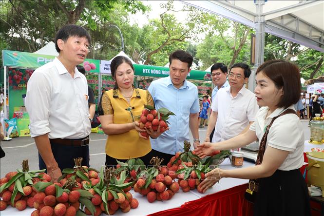Các đại biểu tham quan gian hàng trưng bày vải trứng Hưng Yên. Ảnh: Mạnh Khánh-TTXVN