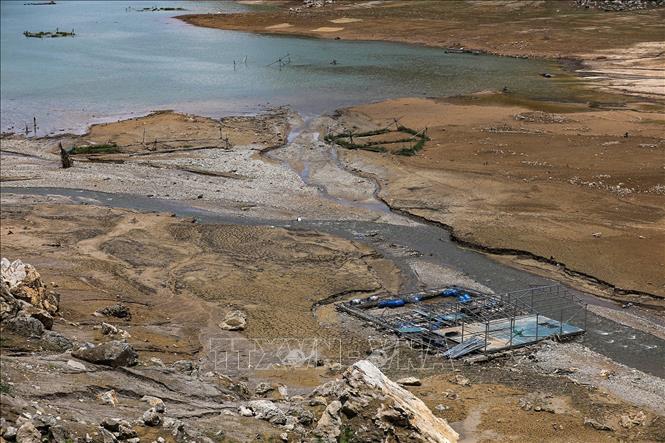 Những lồng bè cá của người dân không kịp di dời ra chỗ nước sâu đã bị mắc cạn và hư hỏng hoàn toàn. Ảnh: Trọng Đạt-TTXVN