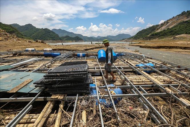 Anh Đinh Văn Sánh (Hiền Lương, Đà Bắc) bị thiệt hại về tài sản khi nước xuống quá nhanh khiến công trình lồng bè cá đang thi công mắc cạn và hư hỏng hoàn toàn. Ảnh: Trọng Đạt-TTXVN 