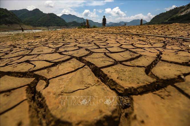 Lòng hồ Hòa Bình trên địa phận xã Hiền Lương, Đà Bắc từng sâu hàng chục mét giờ cạn trơ đáy, dưới ánh nắng thiêu đốt lớp bùn khô nứt nẻ vì không có nước. Ảnh: Trọng Đạt-TTXVN