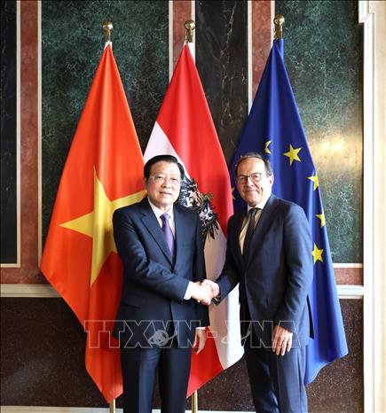Trưởng Ban Nội chính Trung ương Phan Đình Trạc và Phó Chủ tịch Hội đồng Quốc gia Áo, Peter Haubner. Ảnh: Thu Hằng - PV TTXVN tại châu Âu