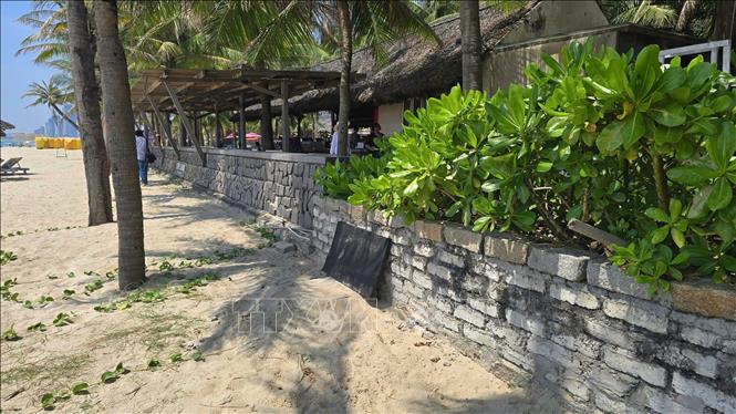 Cống xả thải của cơ sở Temple Resort Danang được che tạm bằng tấm ván gỗ, sau khi bị người dân phản ánh vào tháng 4/2025. Ảnh: TTXVN phát