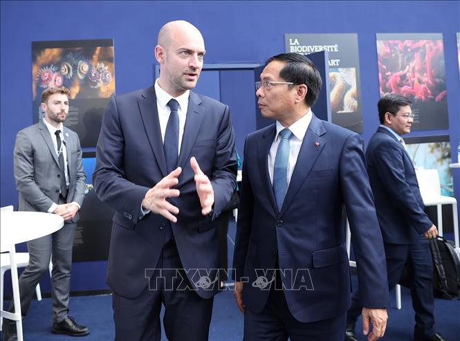 Deputy Prime Minister and Minister of Foreign Affairs Bui Thanh Son meets with French Minister for Europe and Foreign Affairs Jean-Noël Barrot. VNA Photo: Dương Giang