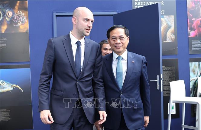 Deputy Prime Minister and Minister of Foreign Affairs Bui Thanh Son meets with French Minister for Europe and Foreign Affairs Jean-Noël Barrot. VNA Photo: Dương Giang