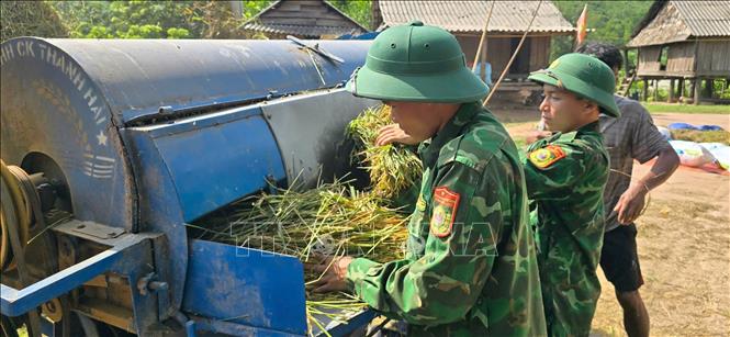 Cán bộ, chiến sĩ Đồn Biên phòng Cửa khẩu Quốc tế Cha Lo giúp dân tuốt lúa sau khi thu hoạch. Ảnh: TTXVN phát