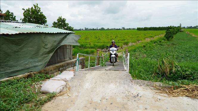 Cây cầu giúp người dân có thể lưu thông bằng xe gắn máy, xe thô sơ. Ảnh: Nhựt An - TTXVN