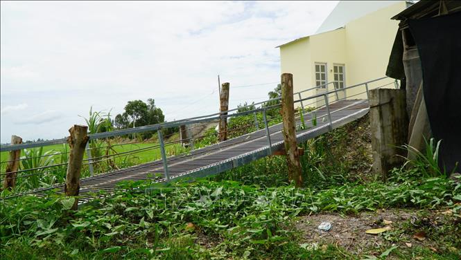 Cây cầu đã được xây dựng để người dân lưu thông, phục vụ việc sản xuất lúa. Ảnh: Nhựt An - TTXVN
