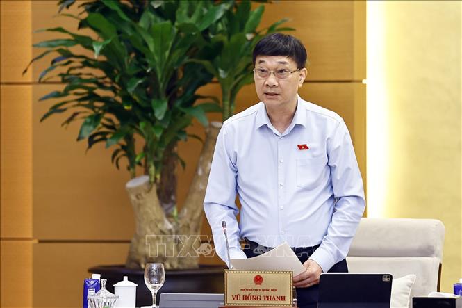 Phó Chủ tịch Quốc hội Vũ Hồng Thanh phát biểu. Ảnh: Doãn Tấn - TTXVN