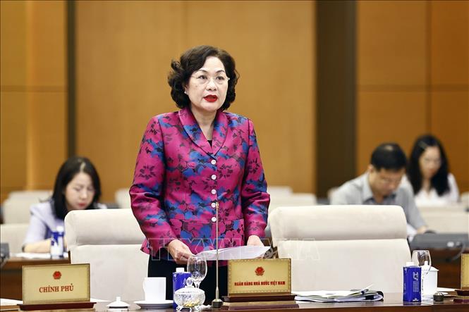 Thống đốc Ngân hàng Nhà nước Việt Nam Nguyễn Thị Hồng phát biểu. Ảnh: Doãn Tấn - TTXVN
