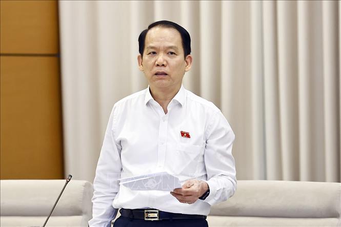 Chủ nhiệm Ủy ban Pháp luật và Tư pháp của Quốc hội Hoàng Thanh Tùng phát biểu. Ảnh: Doãn Tấn - TTXVN